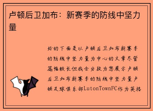卢顿后卫加布：新赛季的防线中坚力量