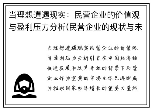 当理想遭遇现实：民营企业的价值观与盈利压力分析(民营企业的现状与未来发展)