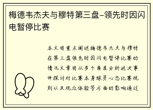 梅德韦杰夫与穆特第三盘-领先时因闪电暂停比赛